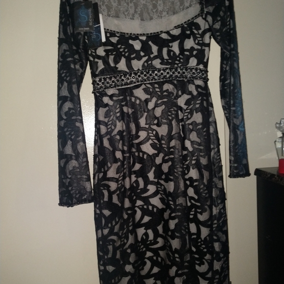 Sue Wong Lace and Leather Beaded Dress - Picture 4 of 8